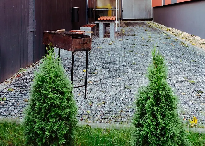 Youthments - Student Riga